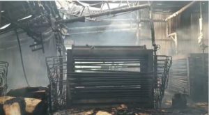 Gupta plywood manakpur